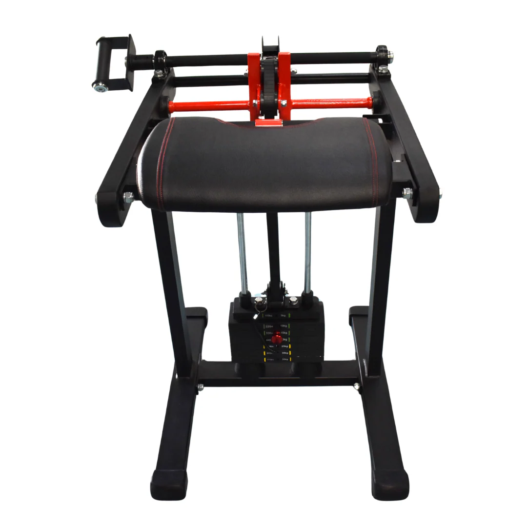 Wrist Curl/Wrist Roller/Forearm Twist/Gorilla Gripper ( 4in1 ) ALPHA - Image 4